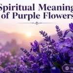 Spiritual Meaning of Purple Flowers