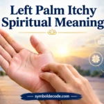Left Palm Itchy Spiritual Meaning