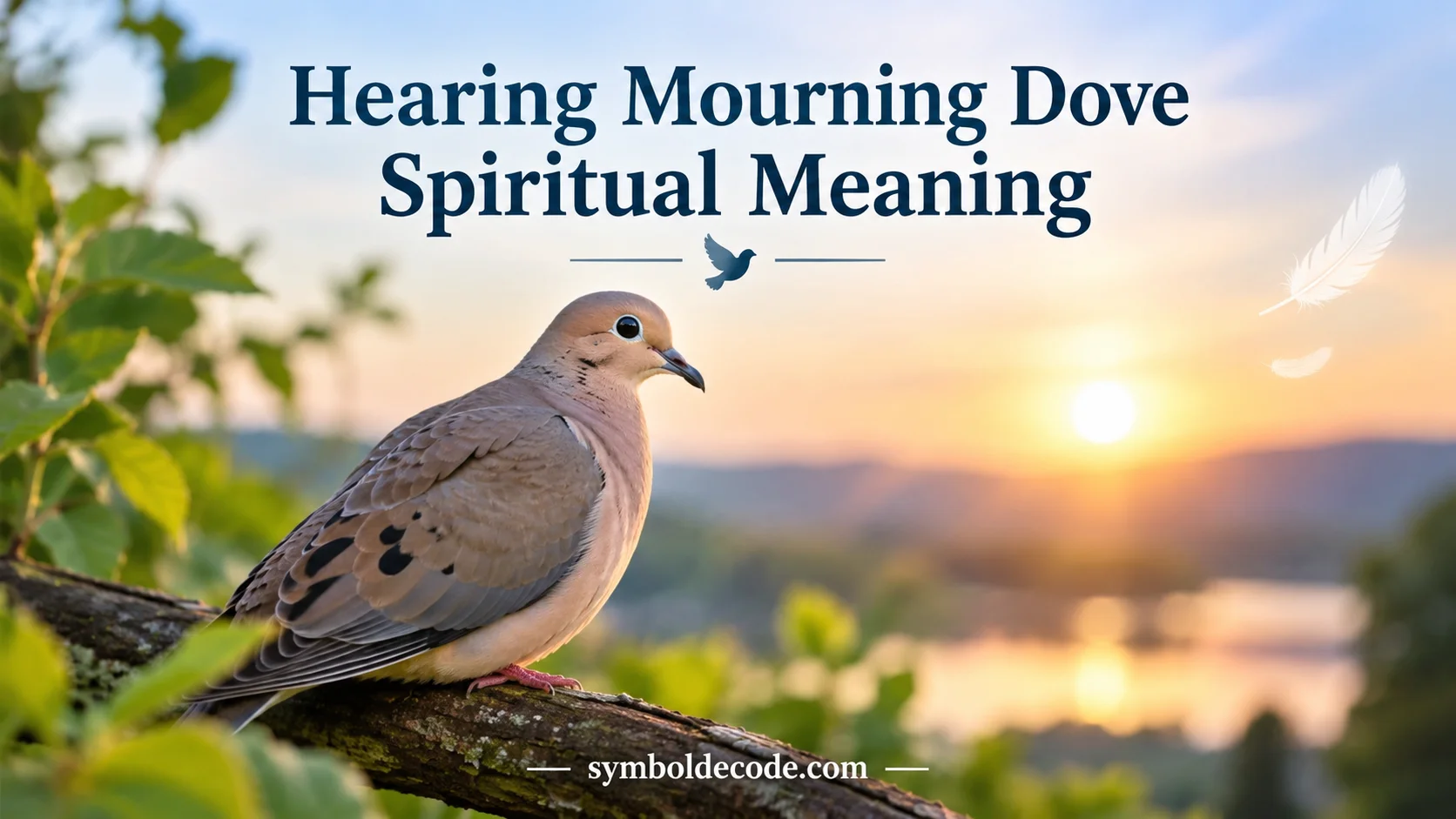 Hearing Mourning Dove Spiritual Meaning